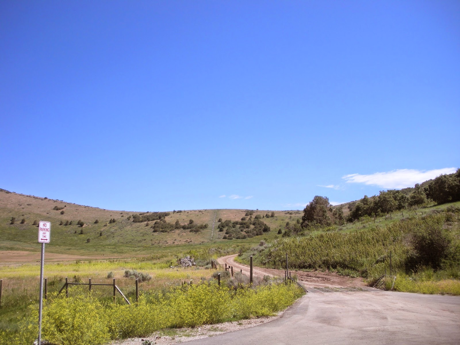 The Mystery Of Utah History Sardine Canyon Utah’s Biggest Fish Story?