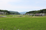 駆け出し農家の里山暮らし