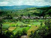 Suku Batak merupakan salah satu suku bangsa Indonesia yang terletak di Sumatera Utara. Nama Batak merupakan sebuah tema kolektif untuk mengidentifikasikan beberapa suku bangsa yang bermukim dan berasal dari Tapanuli dan Sumatera Timur. Suku bangsa yang dikategorikan ke dalam suku Batak yaitu Batak Toba, Batak Karo, Batak Pakpak, Batak Simalungun, Batak Angkola, dan Batak Mandailing. Seorang istri dari putra pendeta Batak Toba bernama Siti Omas Manurung menyatakan, bahwa sebelum kedatangan Belanda semua orang baik Karo maupun Simalungun mengakui dirinya sebagai Batak. Lalu Belanda yang telah membuat terpisahnya kelompok-kelompok tersebut setelah Belanda datang ke tanah Batak. Dengan demikian, istilah "Tanah Batak" dan "rakyat Batak" diciptakan oleh pihak asing. Namun, sebagian orang Karo, Angkola, dan Mandailing tidak mau menyebut dirinya sebagai suku Batak karena pada umumnya istilah "Batak" dipandang rendah oleh bangsa lain. Sebagian orang Tapanuli juga tidak ingin disebut orang Batak karena perbedaan agama yang mencolok pada orang Batak kebanyakan. Suku Batak dikenal dengan banyaknya marga yang diambil dari garis keturunan laki-laki. Garis keturunan tersebut akan diteruskan kepada keturunan selanjutnya. Marga tersebut menjadi simbol bagi keluarga Batak. Menurut kepercayaan bangsa Batak, induk marga Batak dimulai dari Si Raja Batak yang diyakini sebagai asal mula orang Batak. Si Raja Batak mempunyai dua orang putra, yakni Guru Tatea Bulan dan Si Raja Isumbaon. Budaya