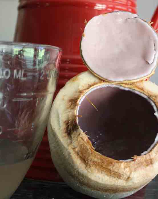 Good Coconut...Bad Coconut Necessary Nergies