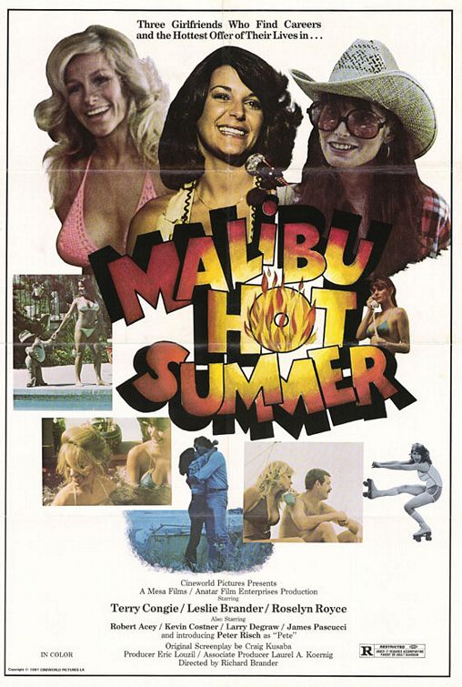 Malibu Hot Summer movie