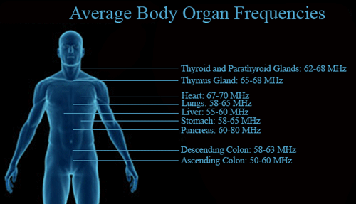 Body Frequency Chart