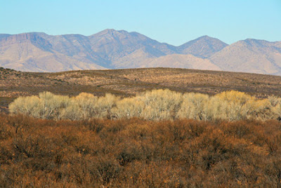 new mexico