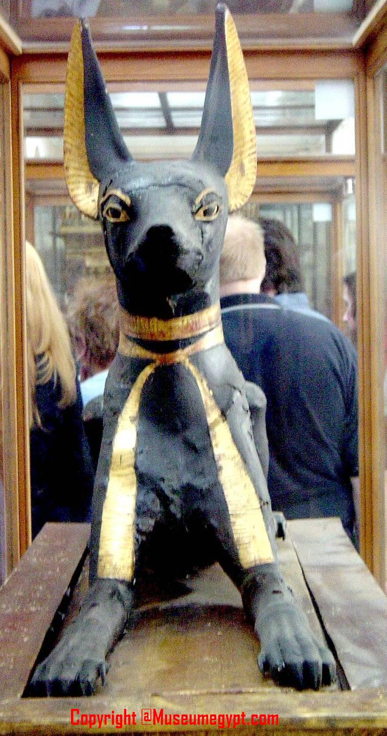 Museumegypt. Since 2006 Was Anubis to represent a jackal or else