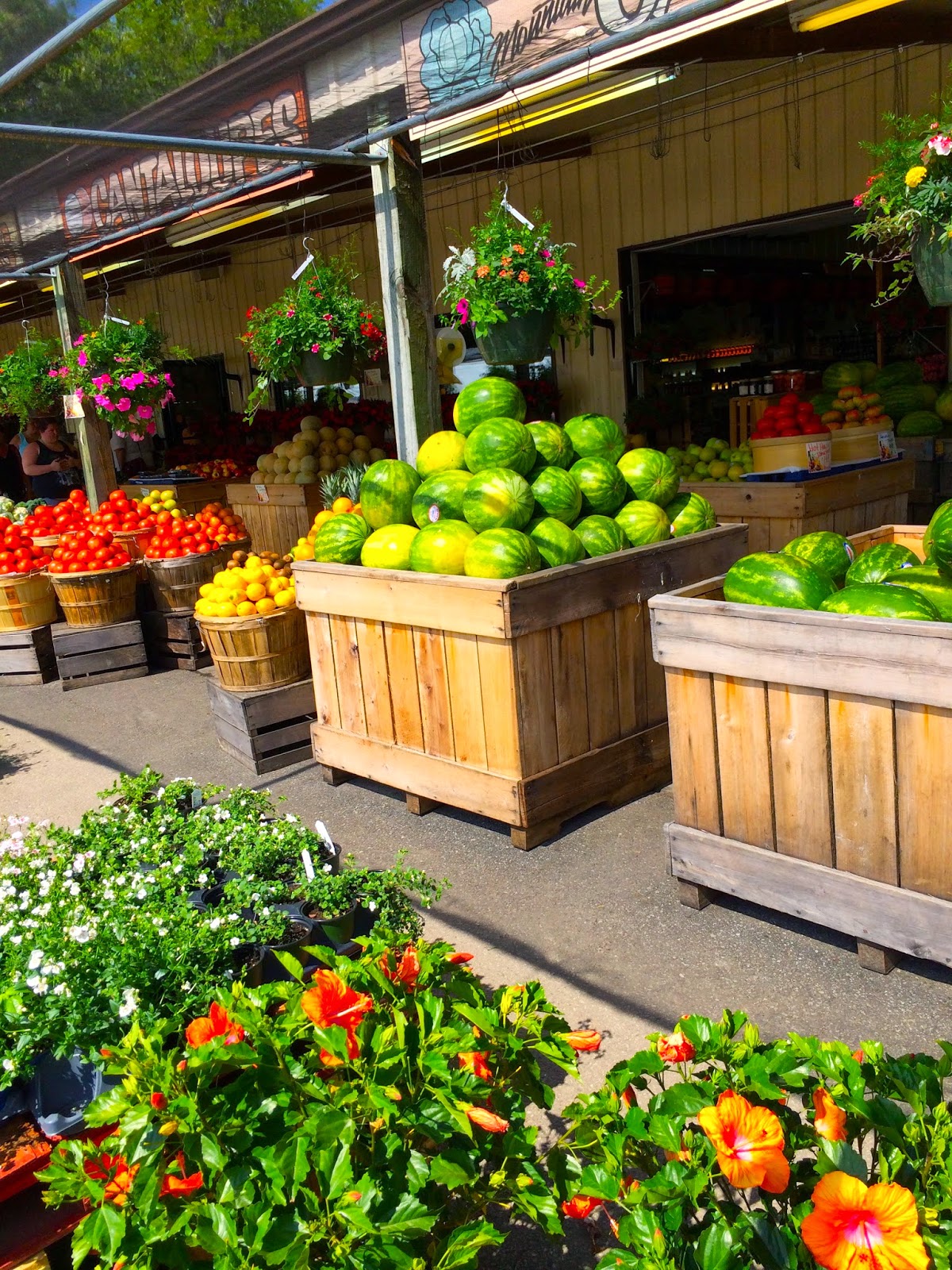 From Captain's Daughter to Army Mom Campfire Confetti Potatoes {Black