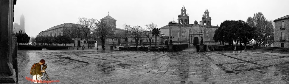 Panorámica 6 blanco y negro