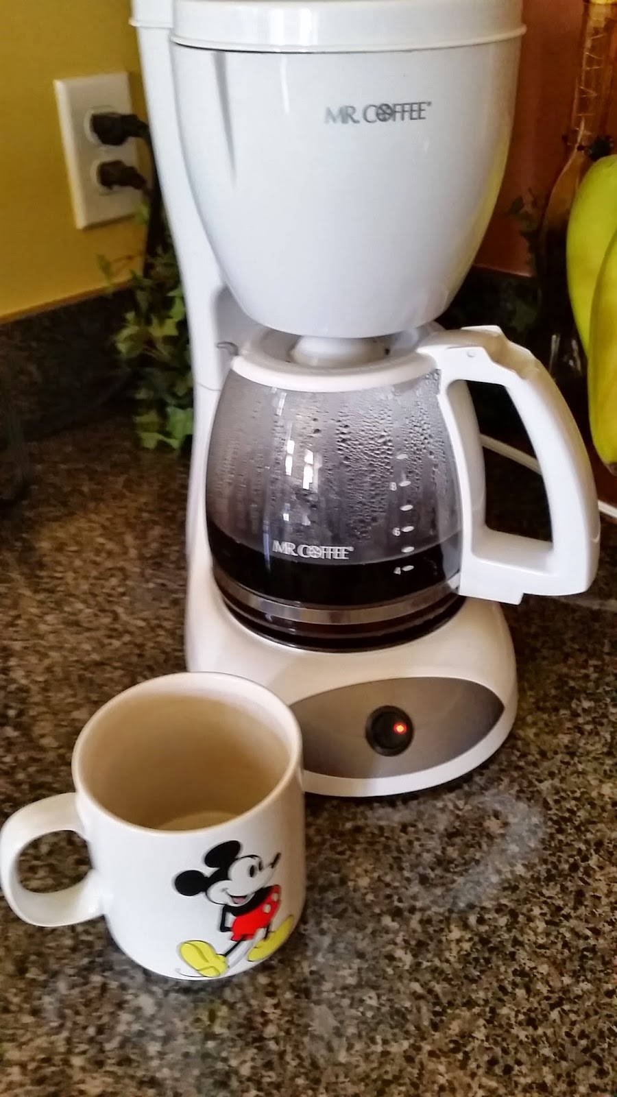 Michele Shewell Coffee Creamer Coconut Oil your Healthy Alternative