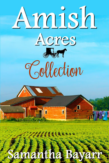 Amish Acres Collection