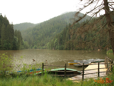 Barci in Lacul Rosu
