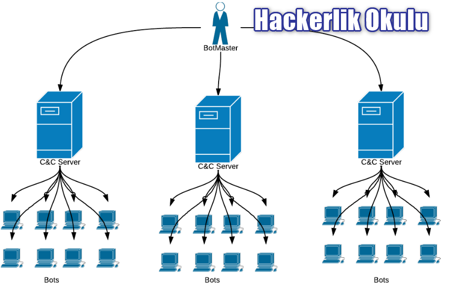Botnet Nedir