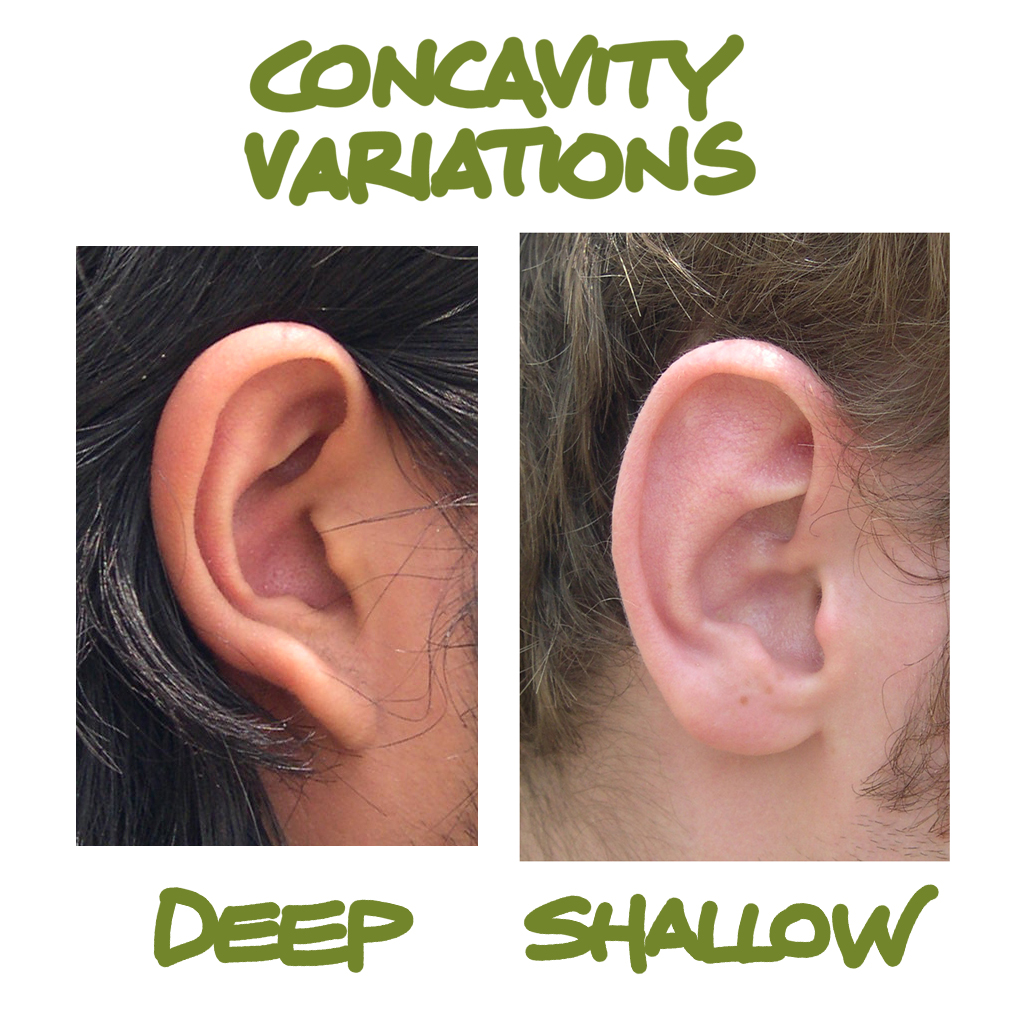 Human Anatomy for the Artist The External Ear Shhh, I'm Listening to