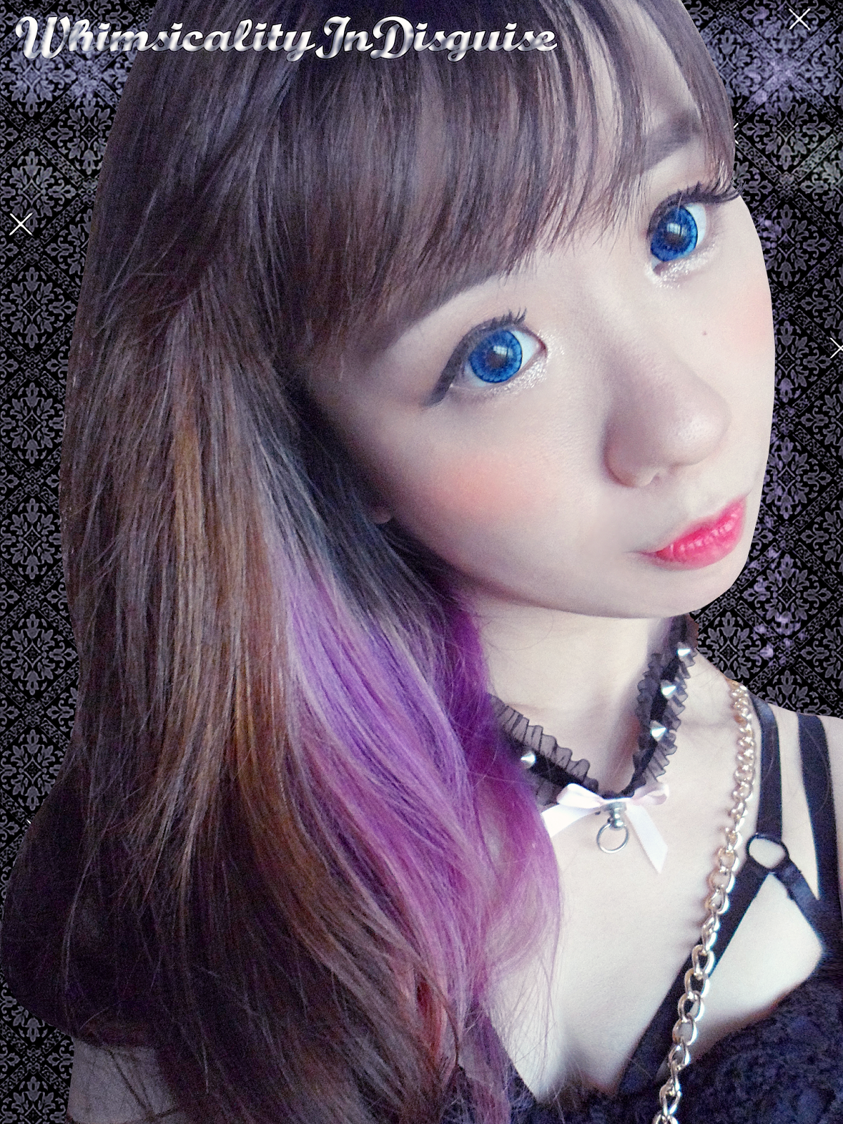 I.Fairy Tofi Blue circle lens hazel pei ting