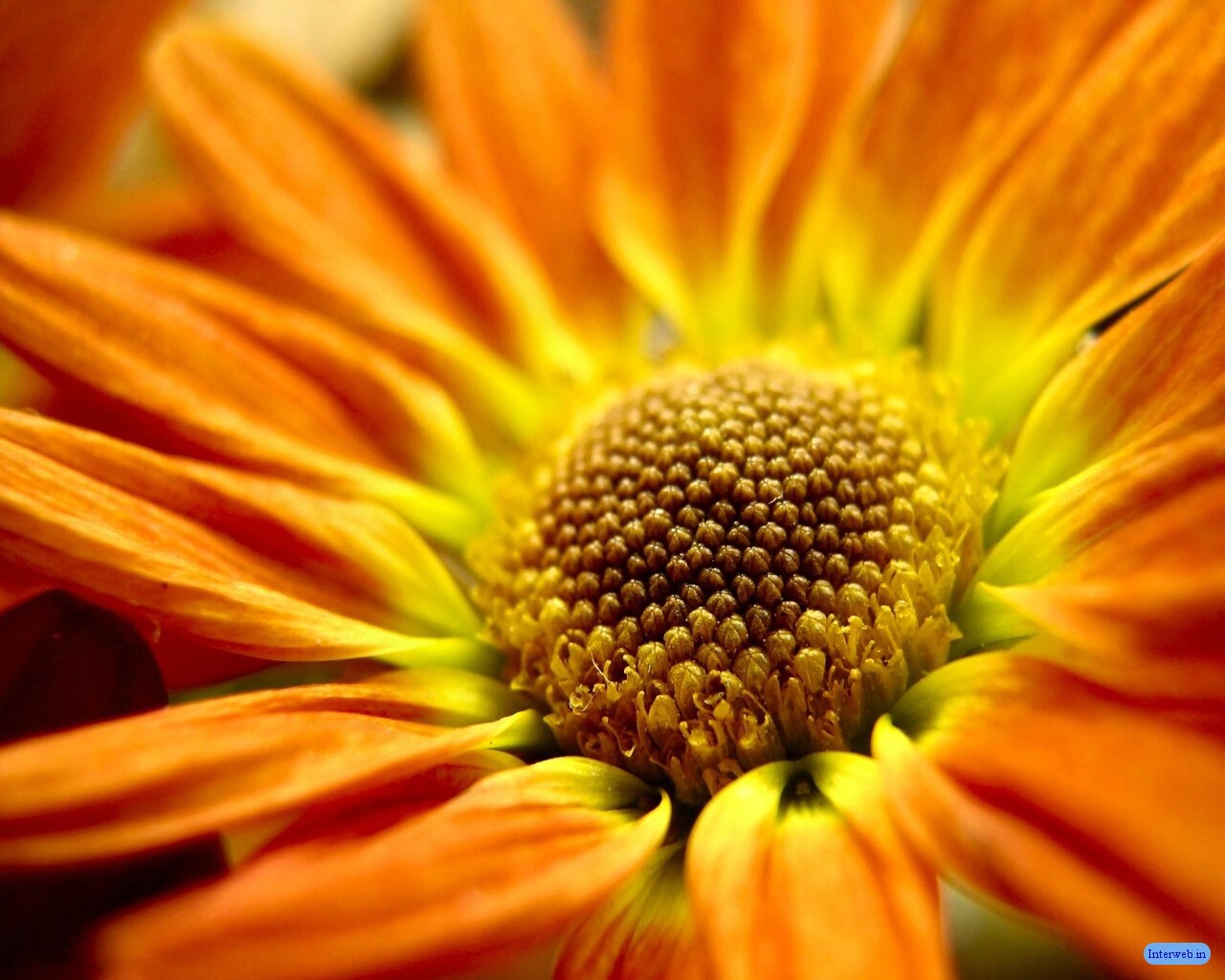 http://2.bp.blogspot.com/-uvcf1T-vfR8/T_8ZcYvuU0I/AAAAAAAADlg/qkjmicRLghc/s1600/Nature+desktop+wallpaper.jpg