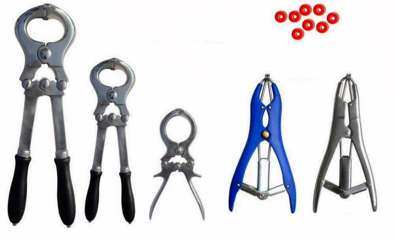 Quality Veterinary and Surgical Instruments Castration Pliers