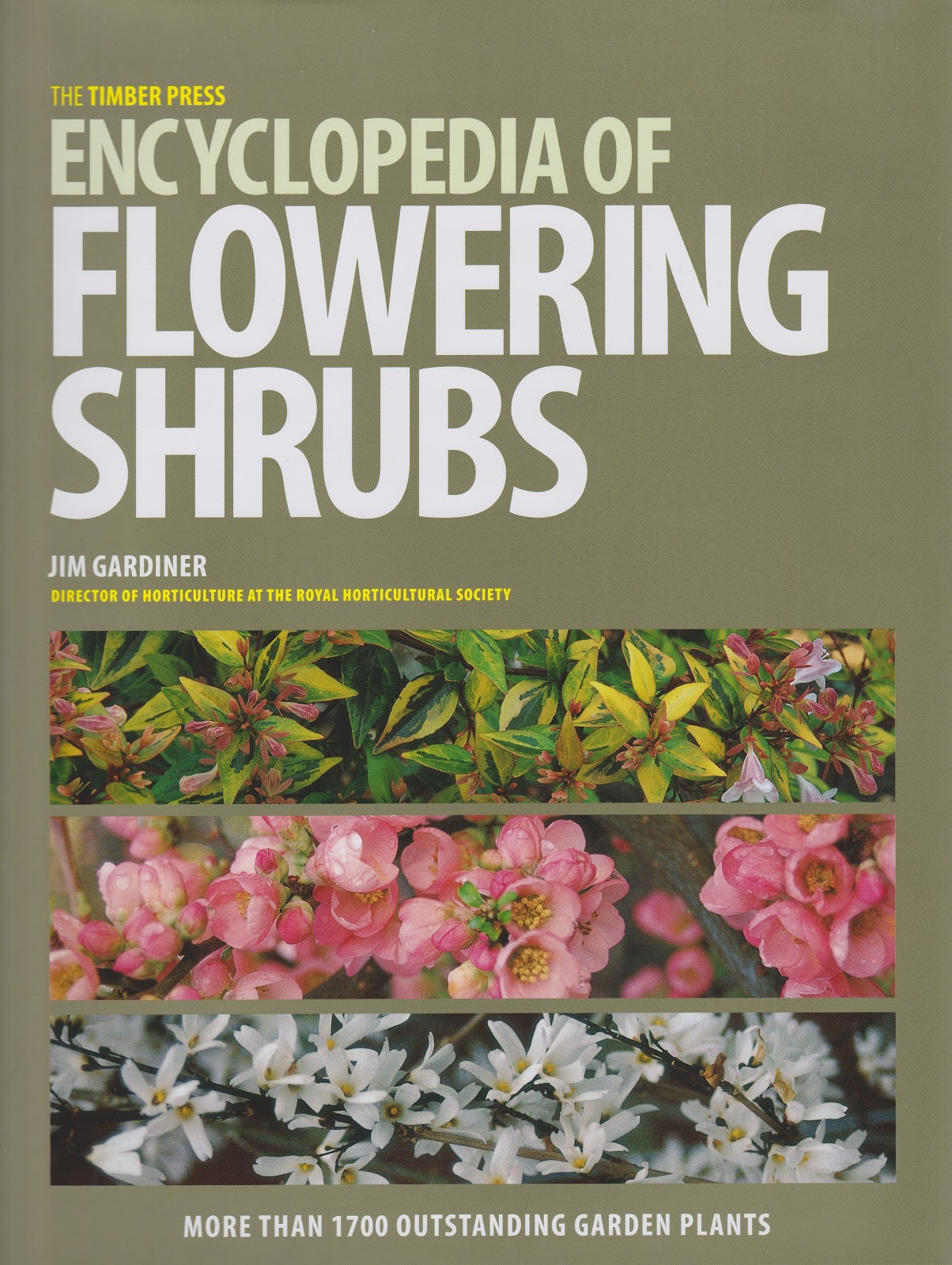 Book Review Two for Practicality