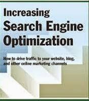 search engine optimization information