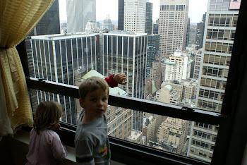 Uitzicht Hotel New York
