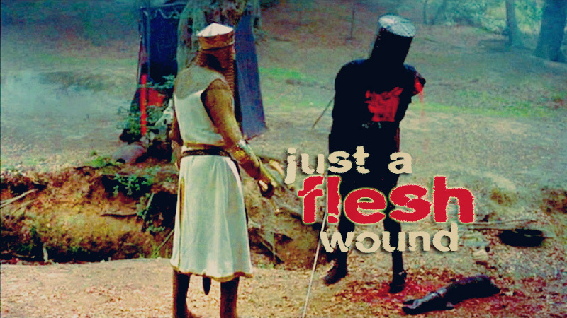Just-A-Flesh-Wound-monty-python-and-the-