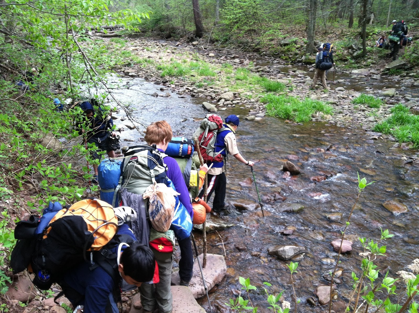 Wandering Virginia Ramsey's Draft Wilderness