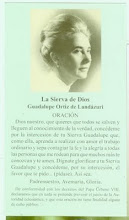 GUADALUPE ORTIZ DE LANDAZURI