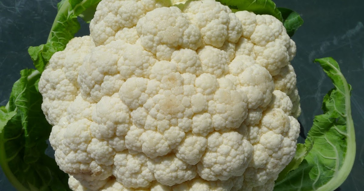 MY KITCHEN IN SPAIN HAIL, FAIR CAULIFLOWER