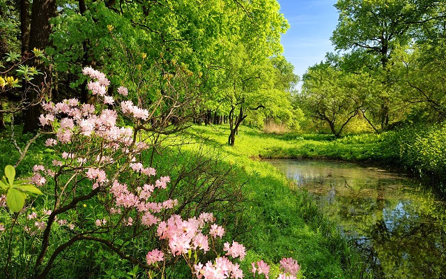 scenery wallpaper scenery wallpaper