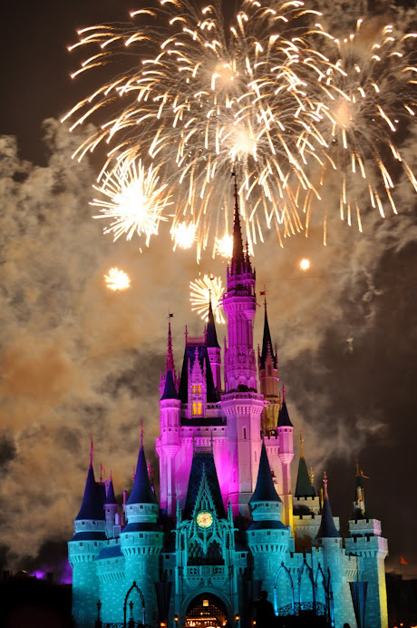 Cinderella's Castle, Disneyworld Jan 2011