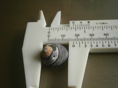 [Image: PB200196.JPG]