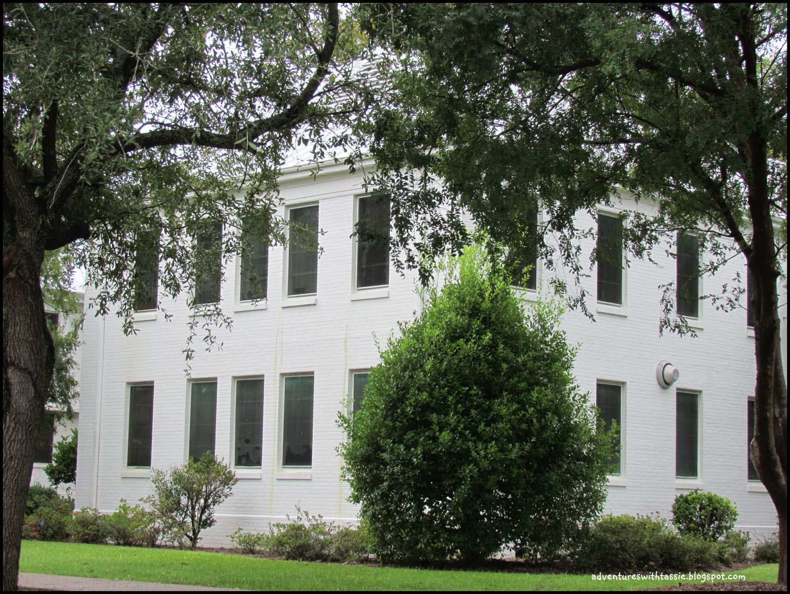 Our Adventures with "Josie" Historic Florida State Hospital