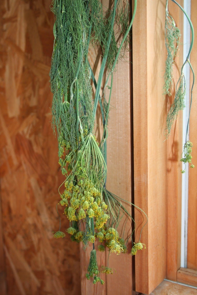 Seven Oaks, Home and Garden Joy: Savor the Taste of Summer: How to Dry