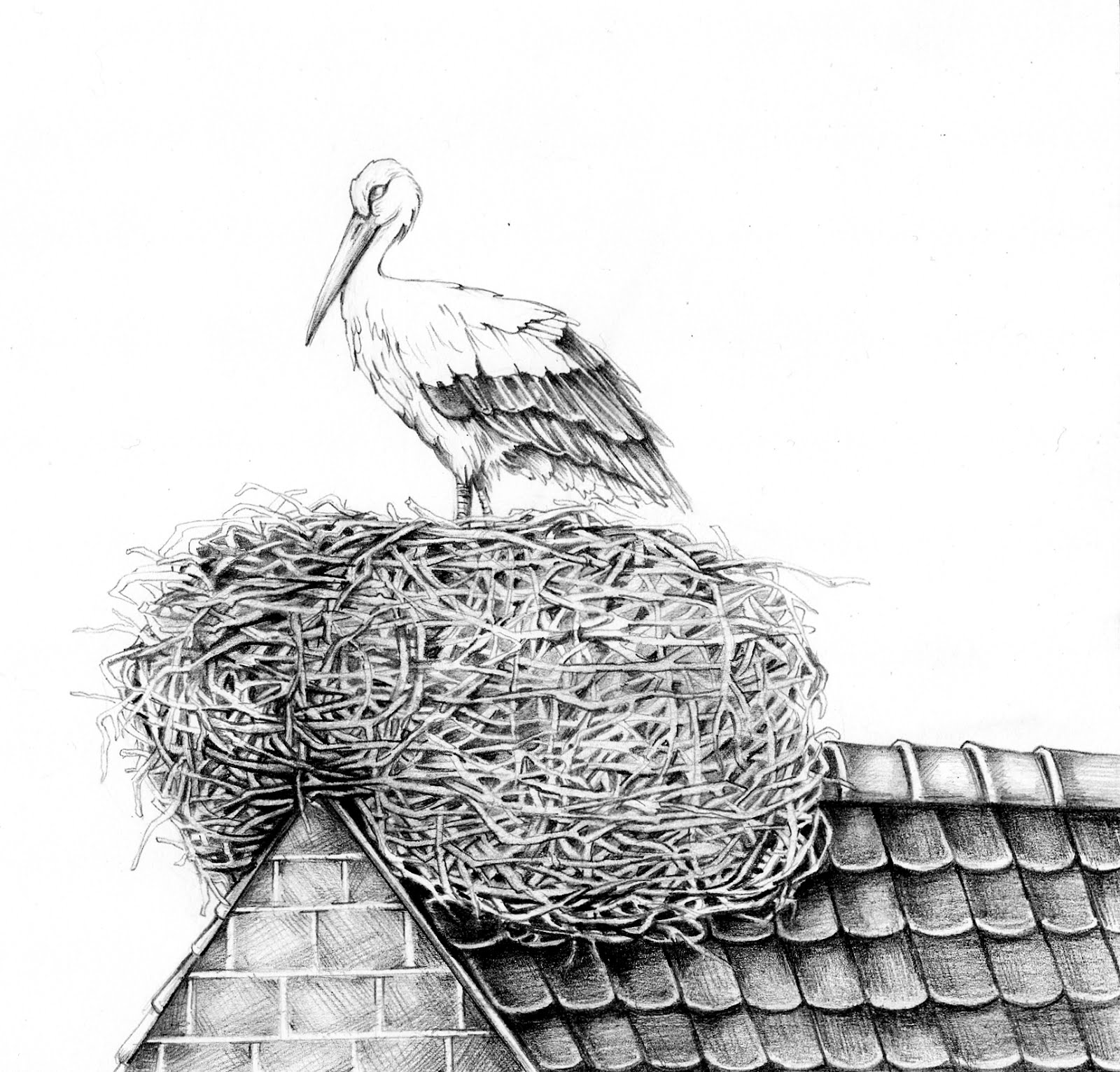 Alice Teodorescu Illustrations