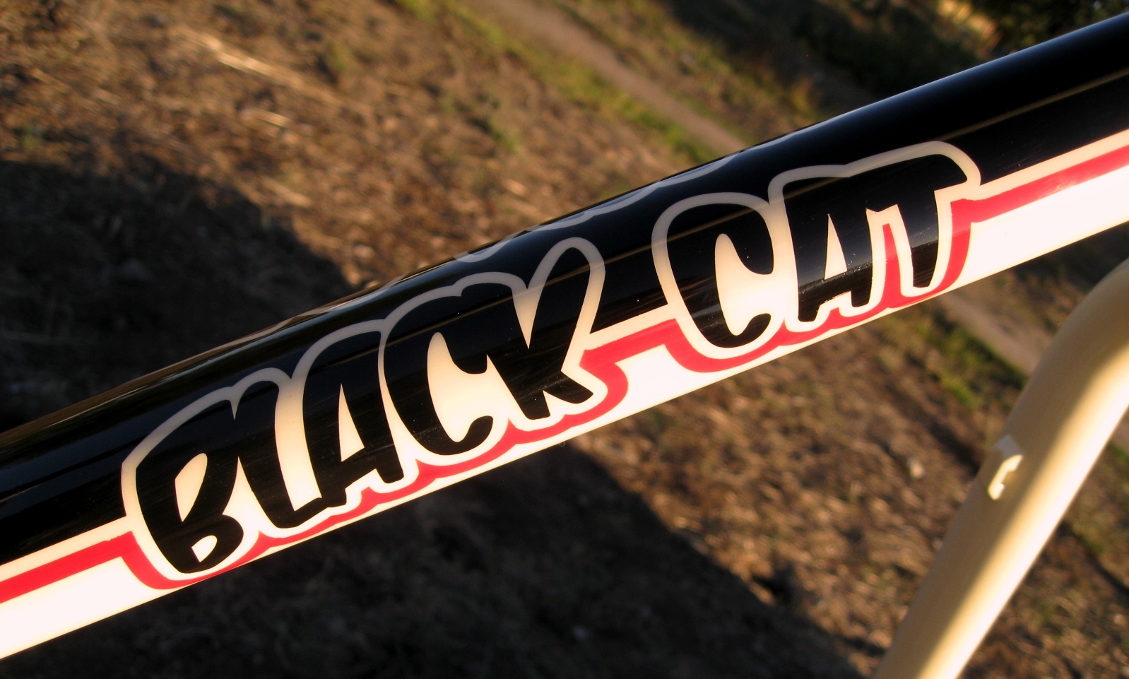 Black Cat Bicycles