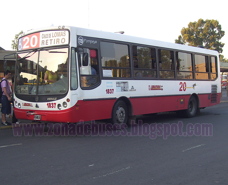 Colectibus Zona de Buses LINEA 20