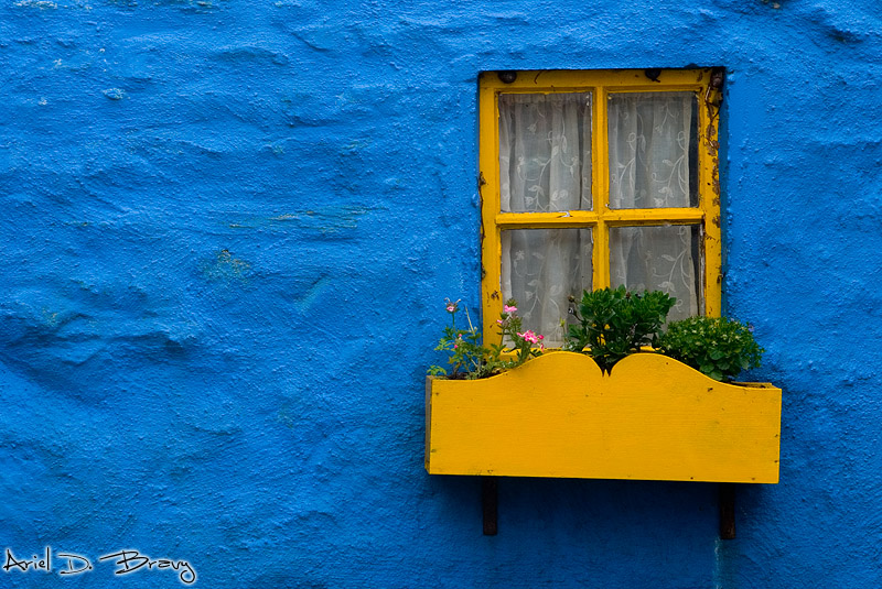 Cottage Blue Designs Blue and Yellow Rooms