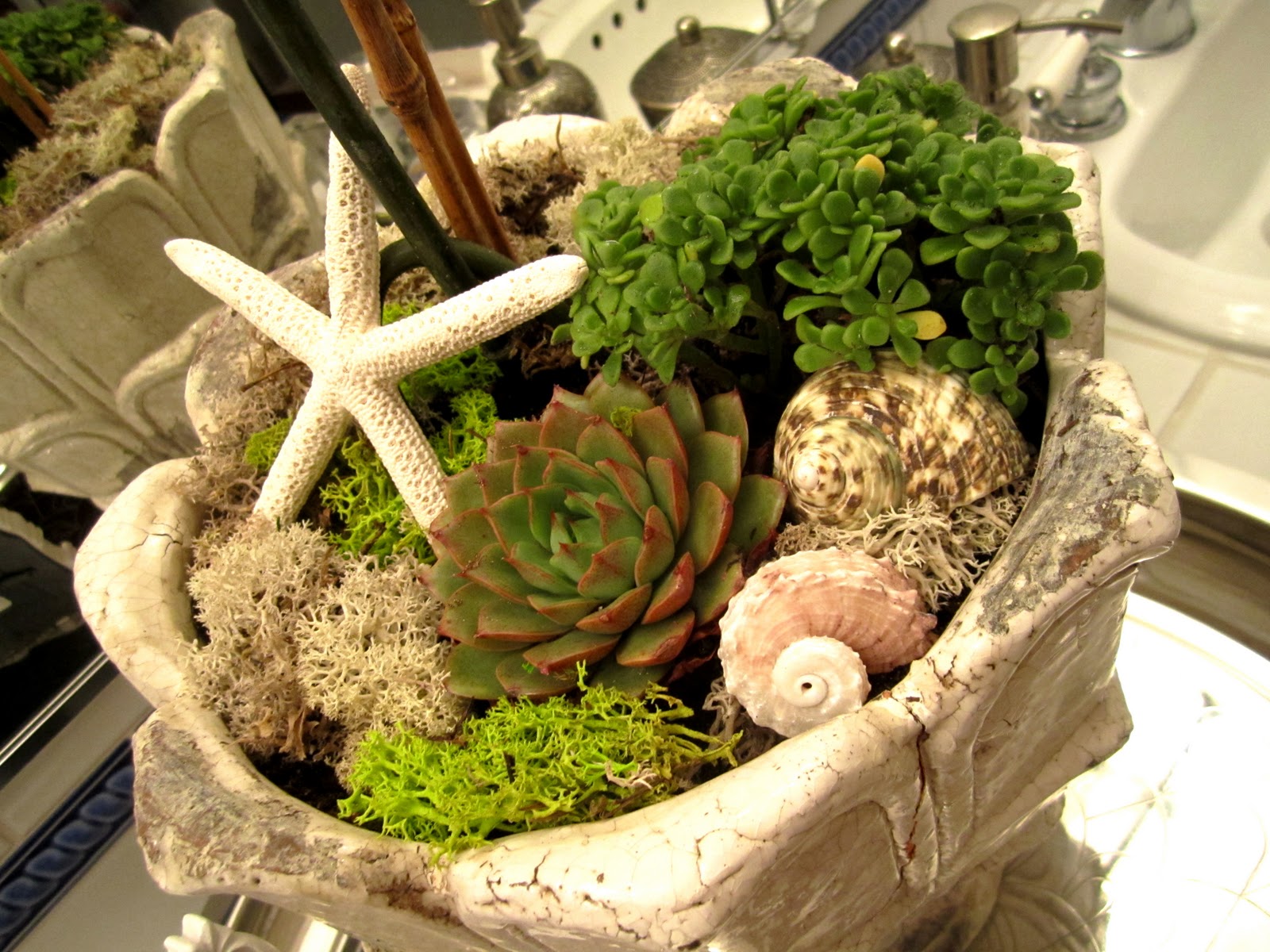 Surf at the S's Beach House: DIY Orchid Arrangement