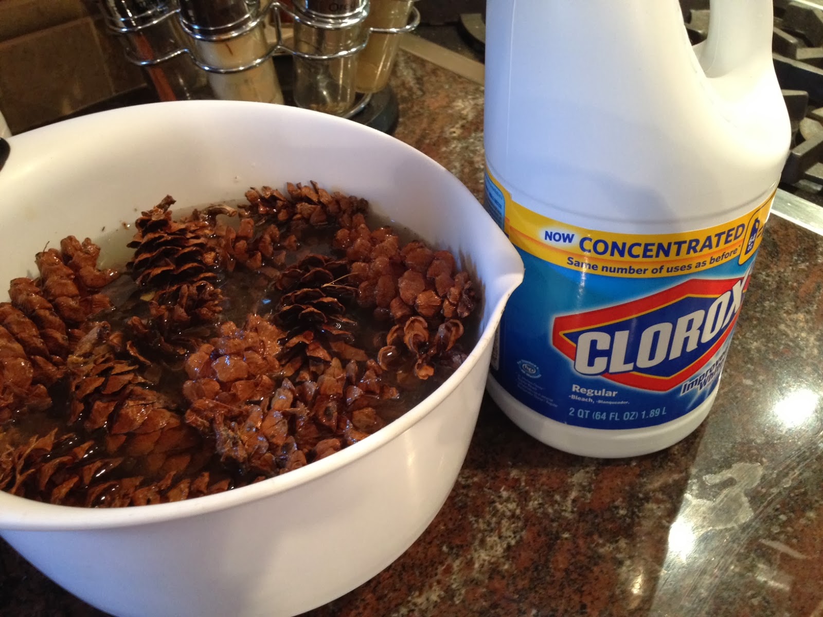 Two It Yourself Pinecone Decor How to clean and dry pine cones for crafts