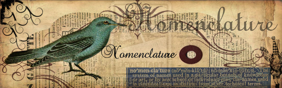 Nomenclature Studio