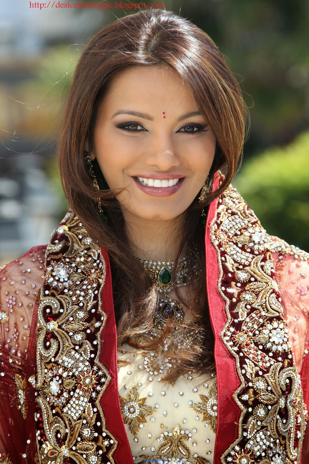 Diana Hayden Bollywood Actress and Model - Desi Celebrity Pic