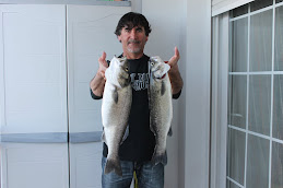 PESCAS 2012