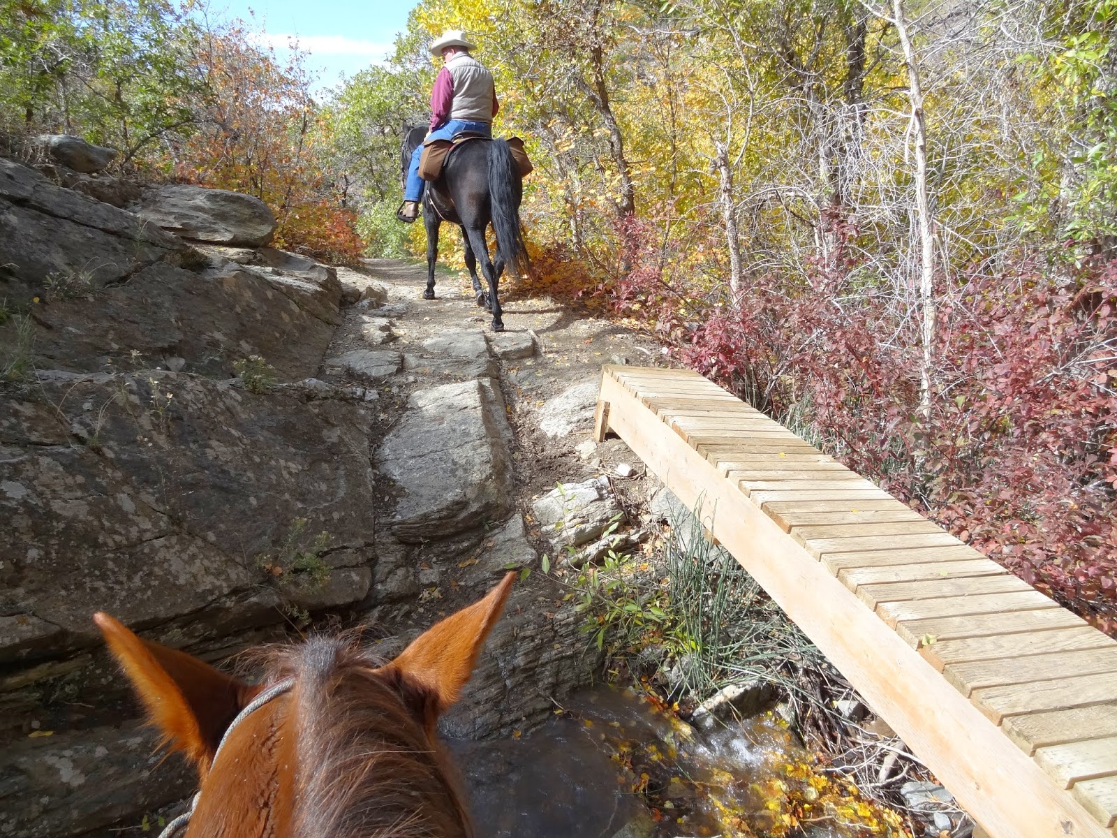 Dream Packer Trail Adventures Holbrook Canyon, Bountiful, Utah