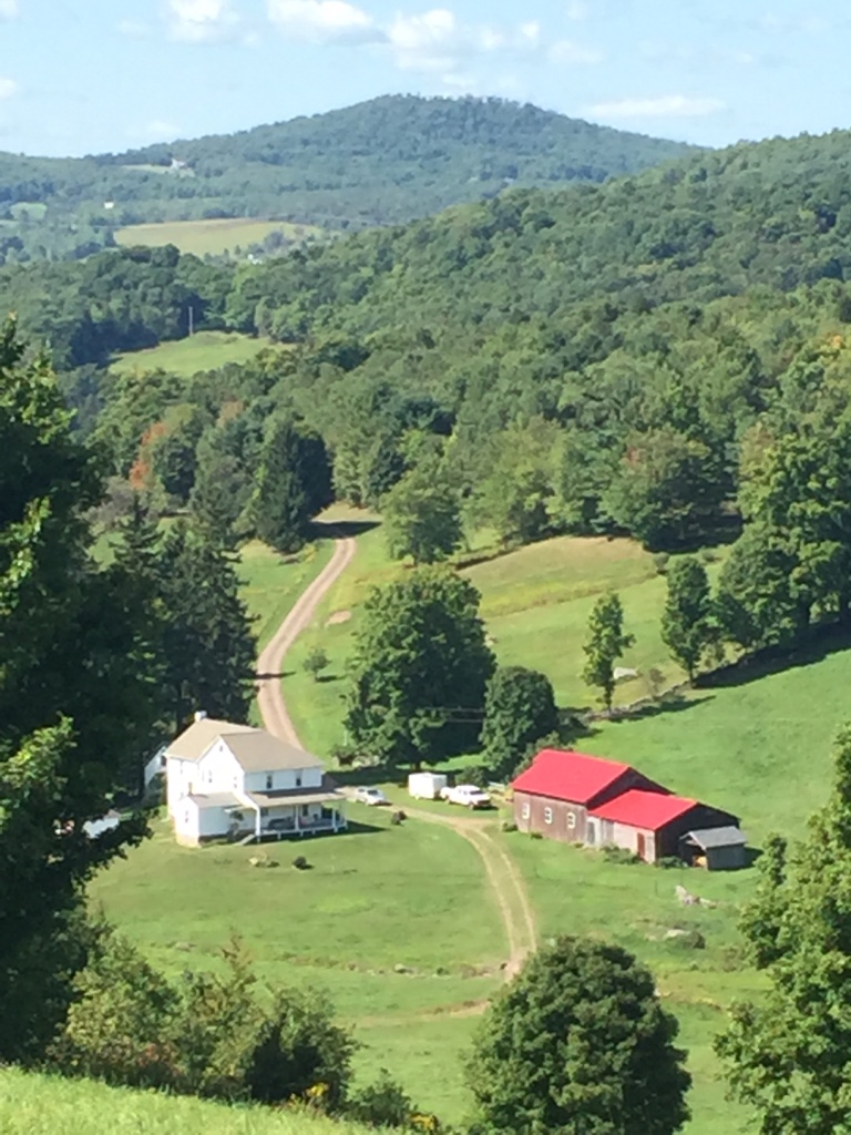 The View at the End of Our Street