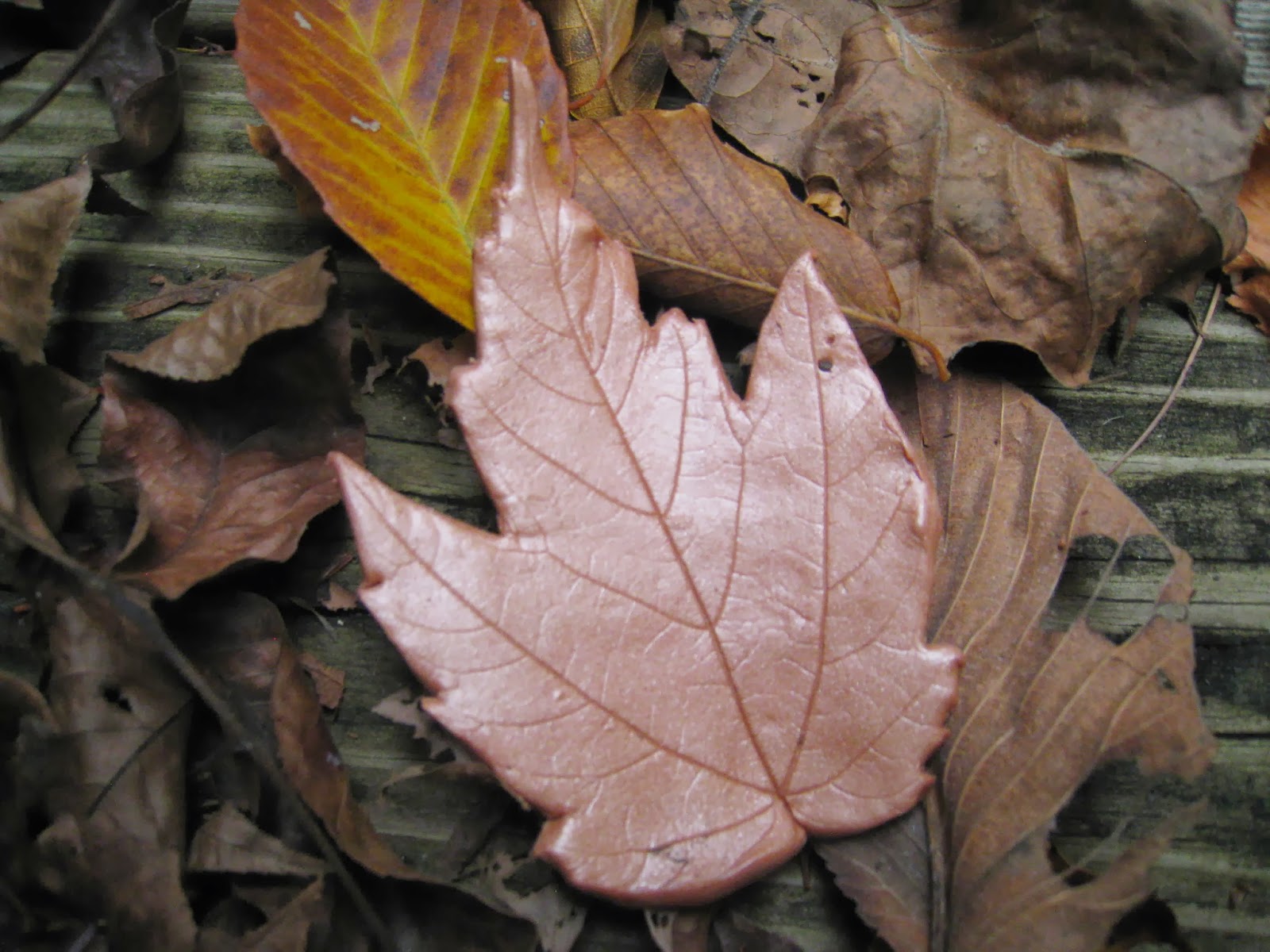 Crafts 4 Camp Sculpey Clay Leaf