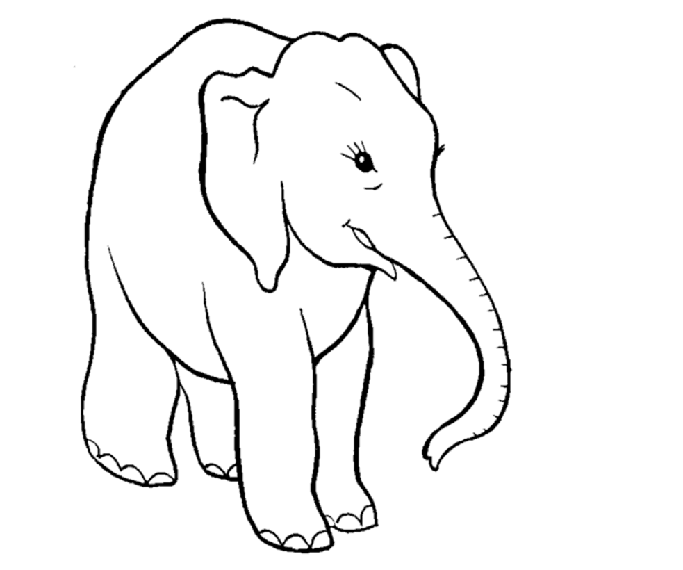 Elephant For Kid Coloring Page Free wallpaper