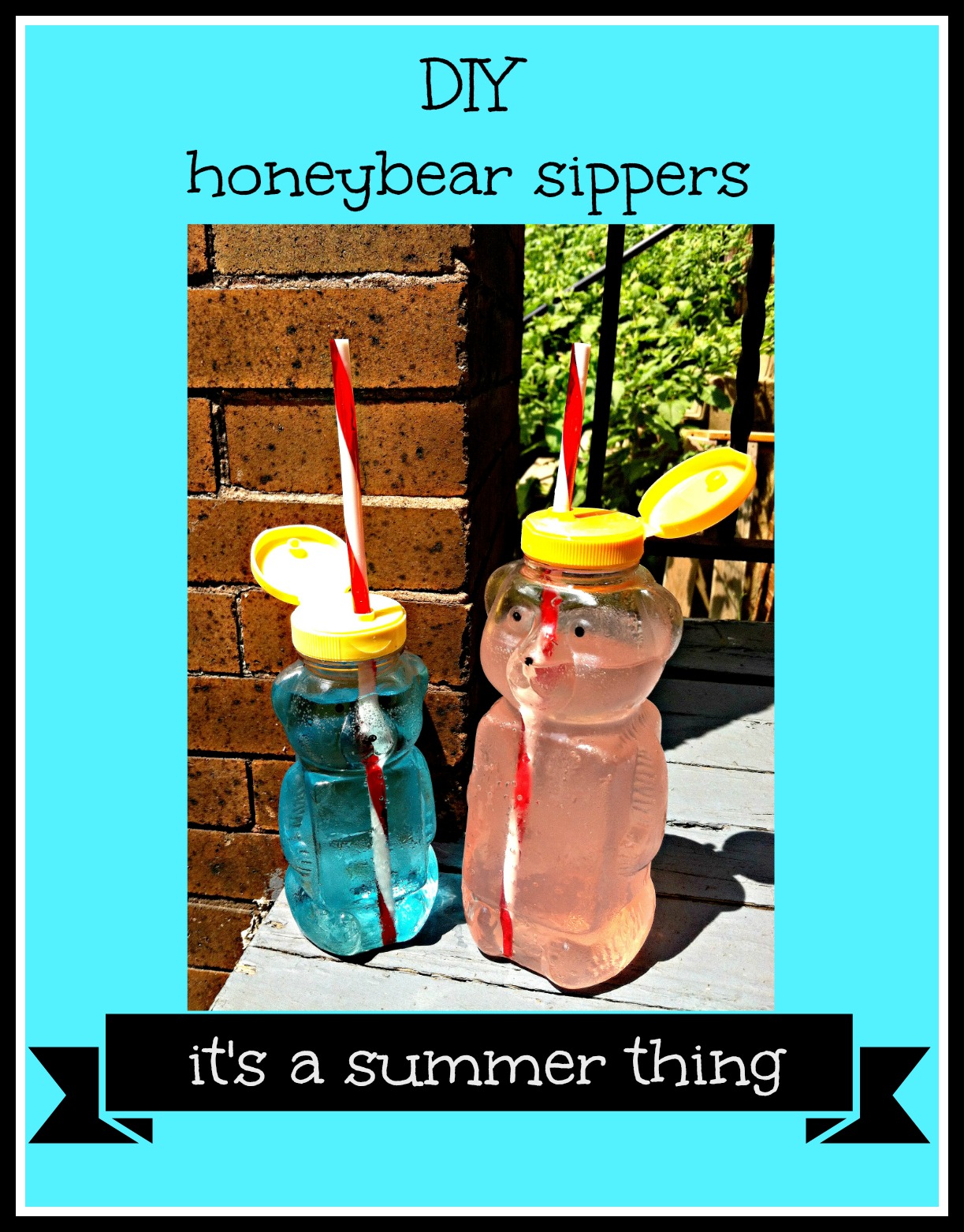 Urban Flowerpot Honeybears Because They're TOO CUTE to Toss