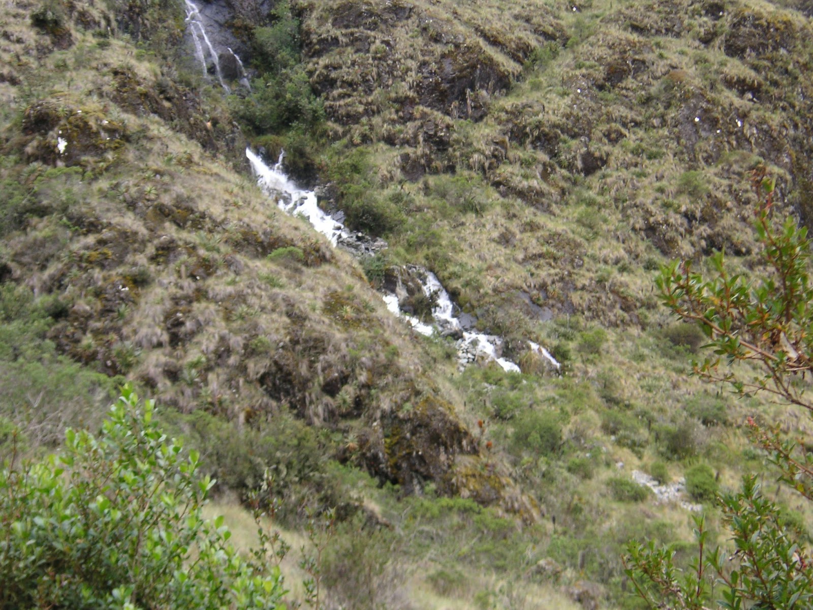 coach wallets 017-011