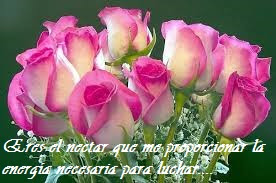 Frases y tarjetas bonitas de amor 2015-2016 Frases y tarjetas bonitas de amor 2015-2016