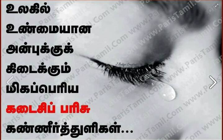 palli kavithai in tamil palli kavithai in tamil