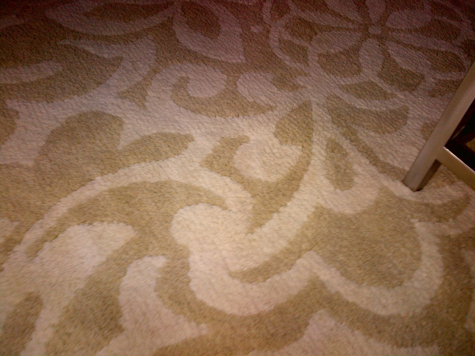 Best Way To Clean Cat Vomit From Carpet Best Way To Clean Cat Vomit From Carpet