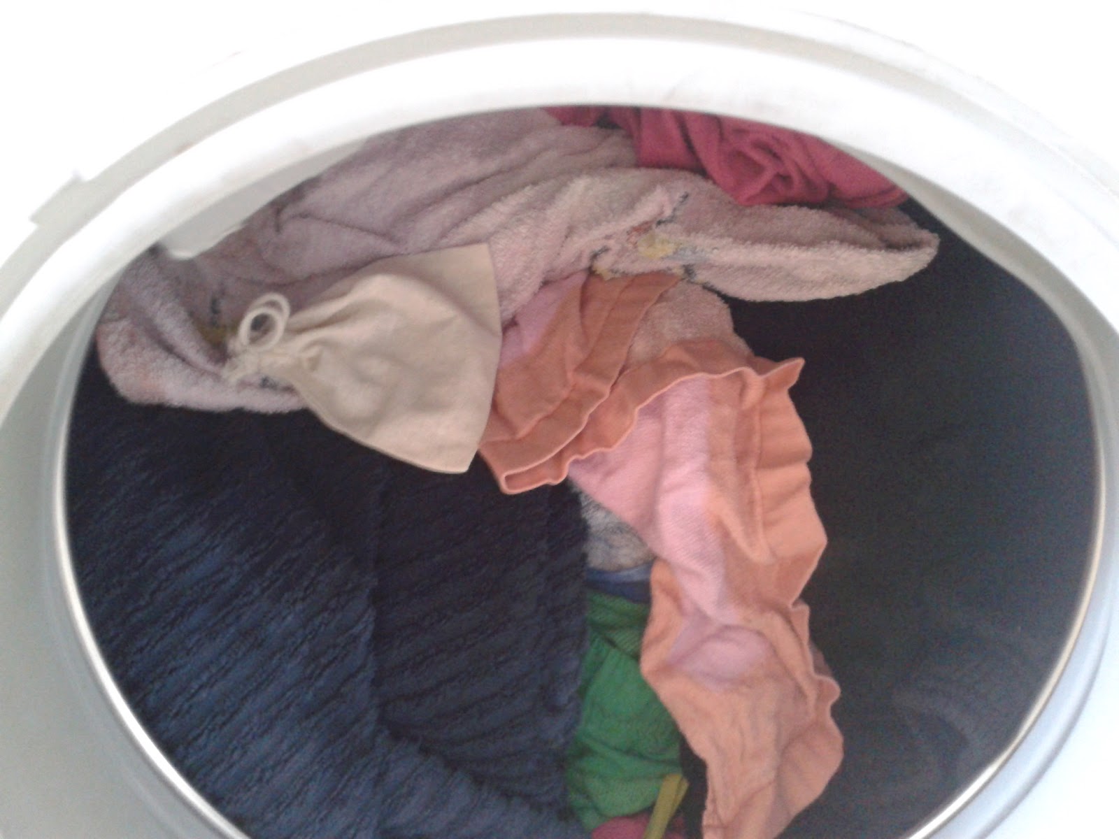 Tvättnötter - tvätta utan kemikalier 2013 04 21+15.31.43