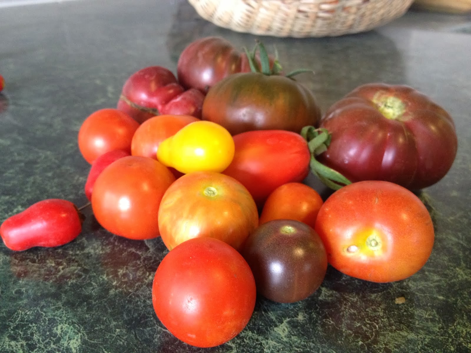 Summer harvest of heirloom (un-corporate-frankenstein) tomatoes